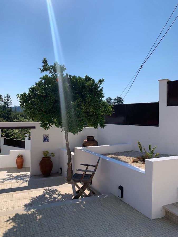 Casa Da Oliveira Bed and Breakfast Pedrogao Grande Eksteriør billede