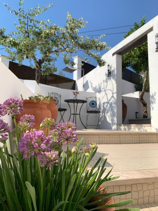 Casa Da Oliveira Bed and Breakfast Pedrogao Grande Eksteriør billede