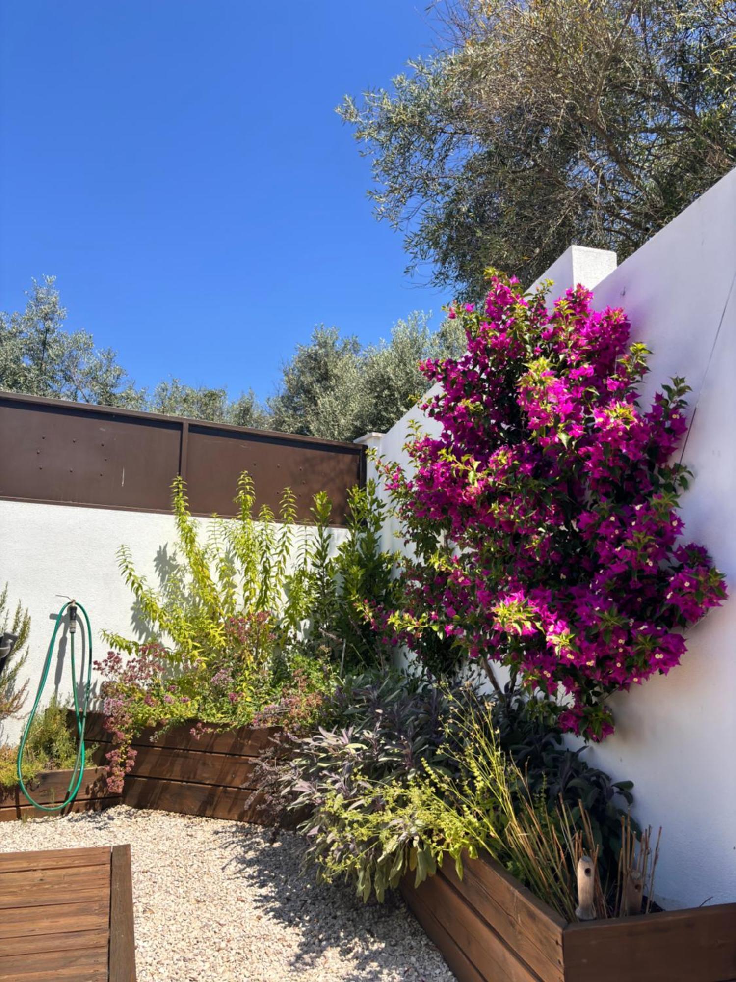 Casa Da Oliveira Bed and Breakfast Pedrogao Grande Eksteriør billede