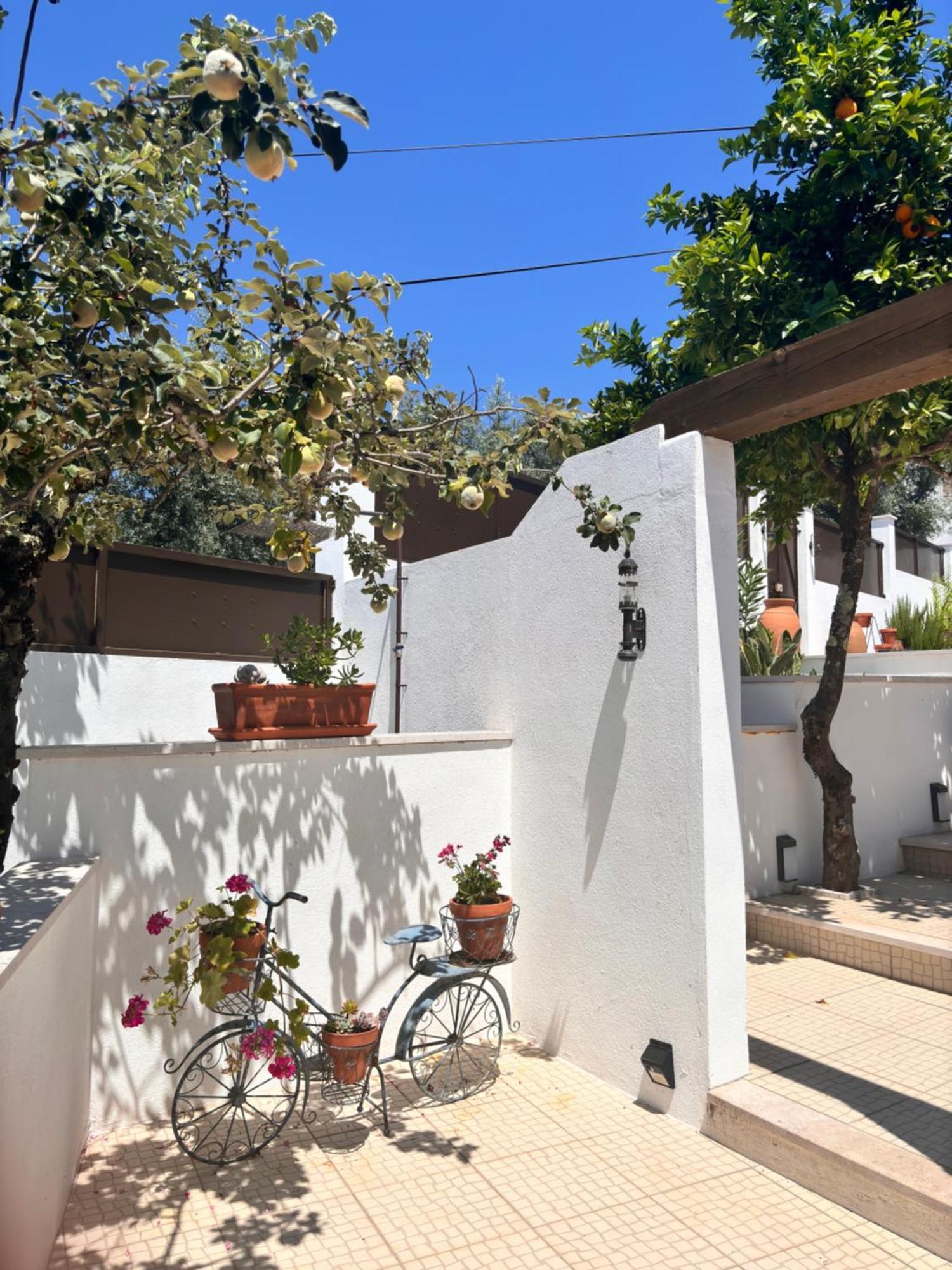 Casa Da Oliveira Bed and Breakfast Pedrogao Grande Eksteriør billede